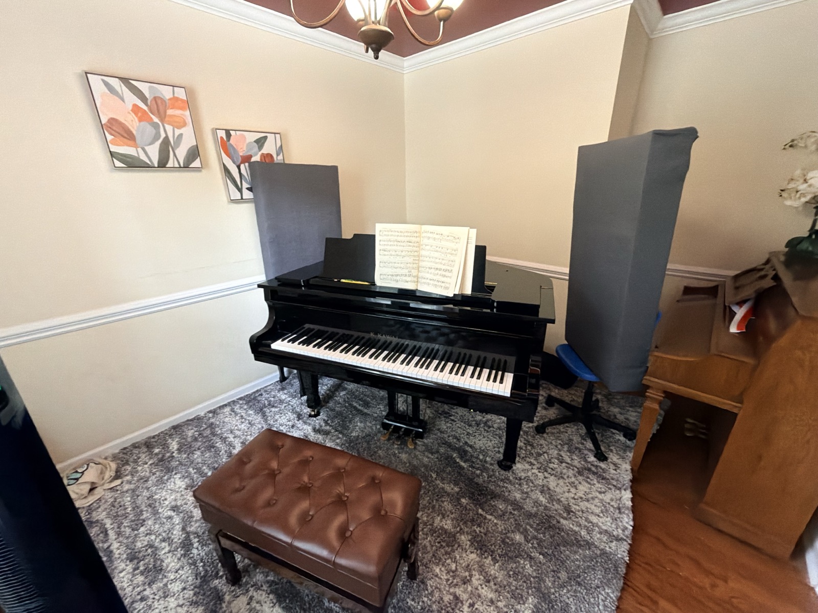 Interior Acoustic Treatment